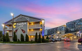 Comfort Inn Nashville